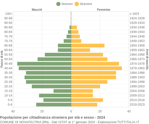 Grafico cittadini stranieri - Novafeltria 2024