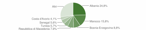 Grafico cittadinanza stranieri - Rottofreno 2007
