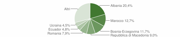Grafico cittadinanza stranieri - Rottofreno 2011