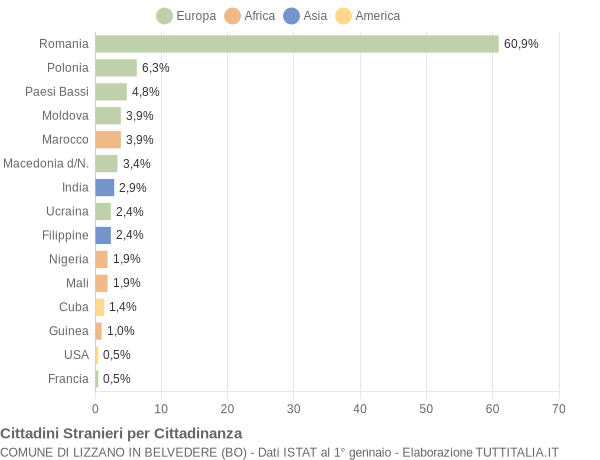 Grafico cittadinanza stranieri - Lizzano in Belvedere 2017