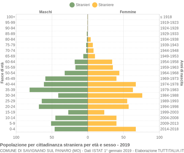 Grafico cittadini stranieri - Savignano sul Panaro 2019