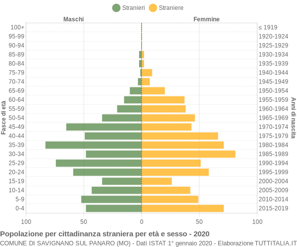 Grafico cittadini stranieri - Savignano sul Panaro 2020