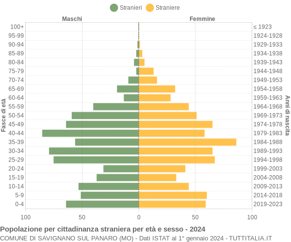 Grafico cittadini stranieri - Savignano sul Panaro 2024