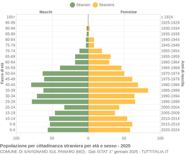 Grafico cittadini stranieri - Savignano sul Panaro 2025