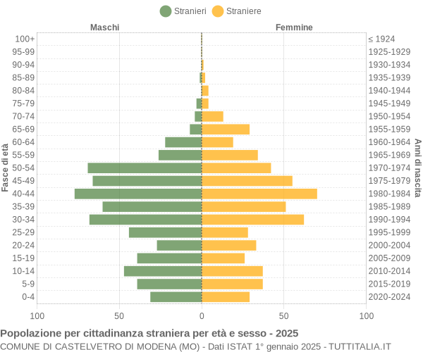 Grafico cittadini stranieri - Castelvetro di Modena 2025