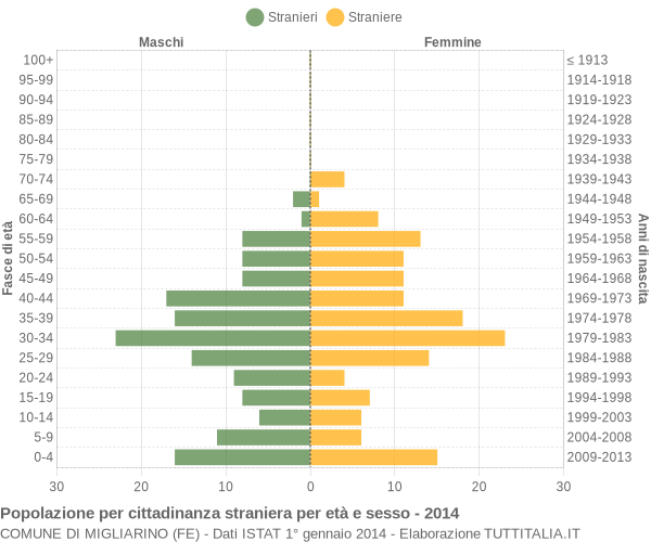 Grafico cittadini stranieri - Migliarino 2014