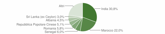 Grafico cittadinanza stranieri - Poviglio 2010