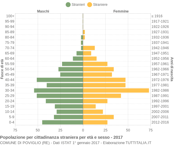 Grafico cittadini stranieri - Poviglio 2017