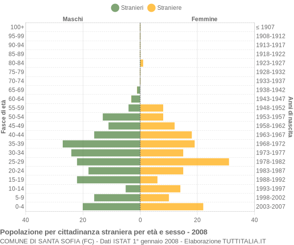 Grafico cittadini stranieri - Santa Sofia 2008