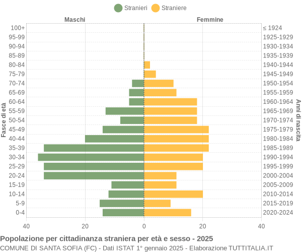Grafico cittadini stranieri - Santa Sofia 2025