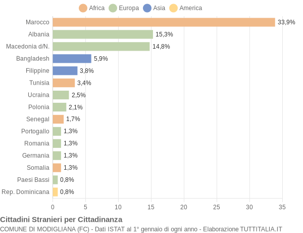 Grafico cittadinanza stranieri - Modigliana 2004