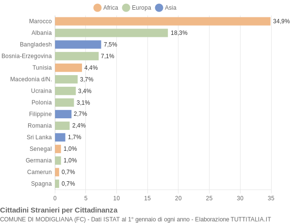Grafico cittadinanza stranieri - Modigliana 2005