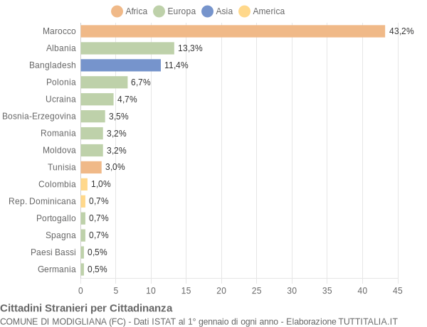 Grafico cittadinanza stranieri - Modigliana 2013