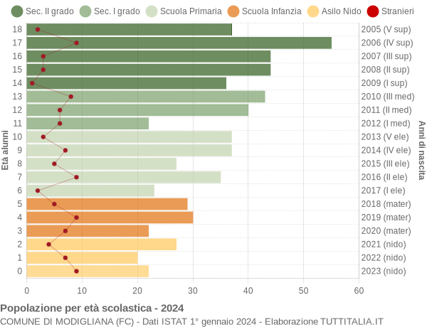 Grafico Popolazione in età scolastica - Modigliana 2024