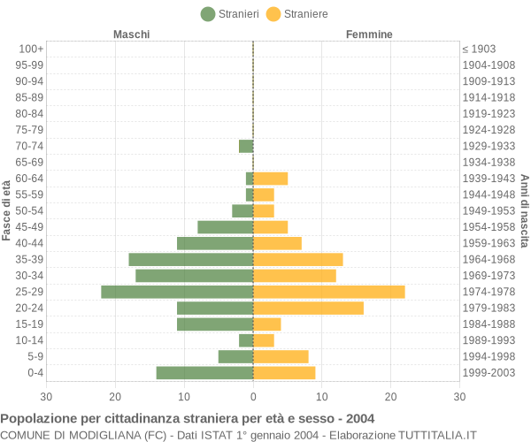 Grafico cittadini stranieri - Modigliana 2004