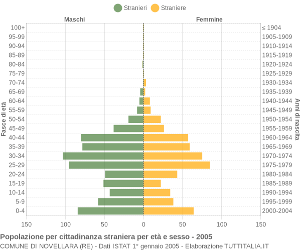 Grafico cittadini stranieri - Novellara 2005