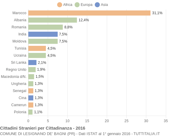 Grafico cittadinanza stranieri - Lesignano de' Bagni 2016