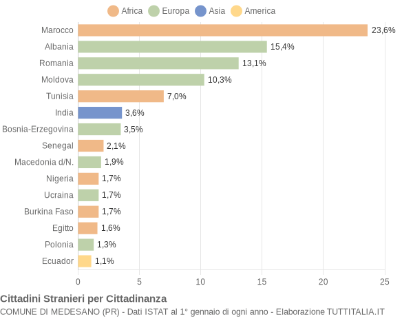 Grafico cittadinanza stranieri - Medesano 2011