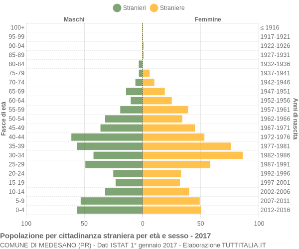 Grafico cittadini stranieri - Medesano 2017