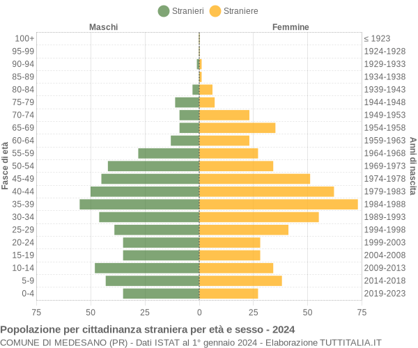 Grafico cittadini stranieri - Medesano 2024