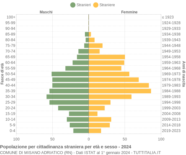 Grafico cittadini stranieri - Misano Adriatico 2024