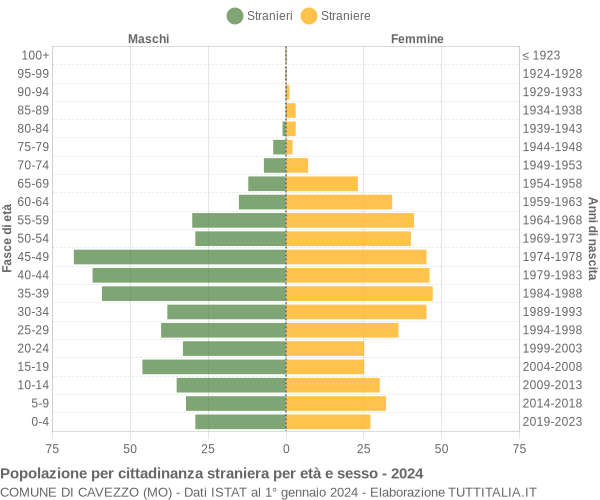 Grafico cittadini stranieri - Cavezzo 2024