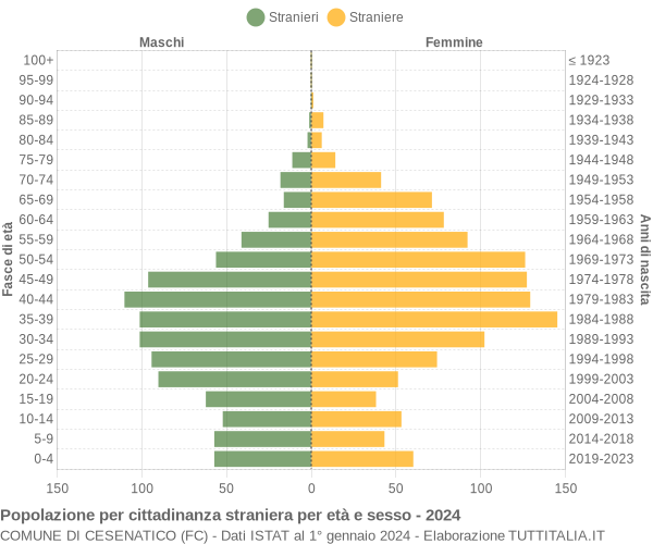 Grafico cittadini stranieri - Cesenatico 2024