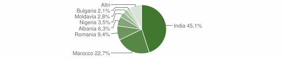 Grafico cittadinanza stranieri - Villanova sull'Arda 2013
