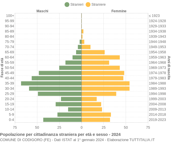 Grafico cittadini stranieri - Codigoro 2024