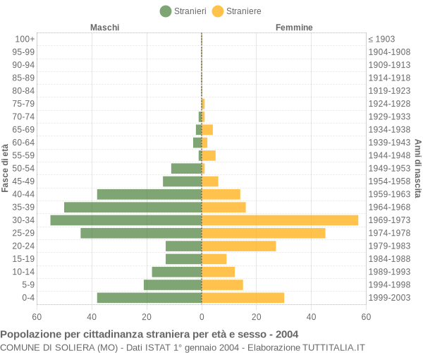 Grafico cittadini stranieri - Soliera 2004