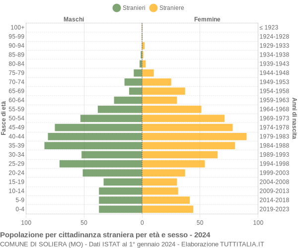 Grafico cittadini stranieri - Soliera 2024