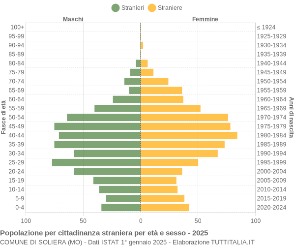 Grafico cittadini stranieri - Soliera 2025