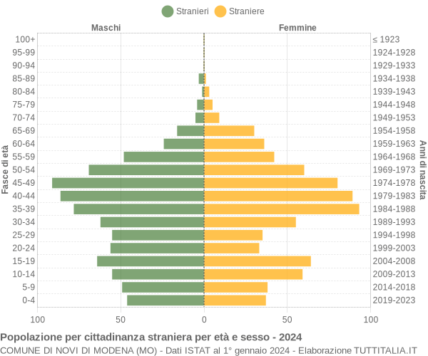 Grafico cittadini stranieri - Novi di Modena 2024