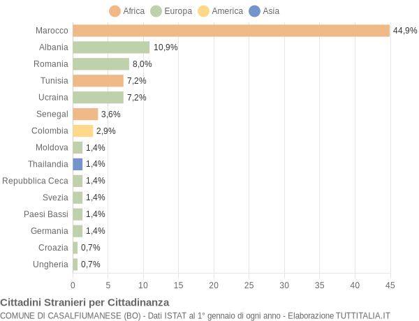 Grafico cittadinanza stranieri - Casalfiumanese 2005