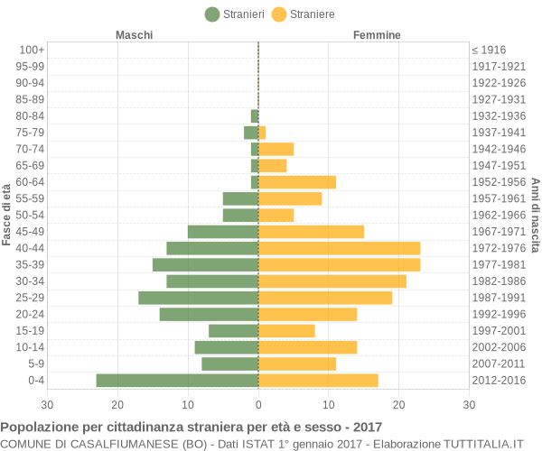 Grafico cittadini stranieri - Casalfiumanese 2017