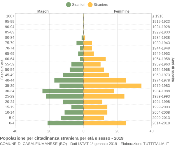 Grafico cittadini stranieri - Casalfiumanese 2019