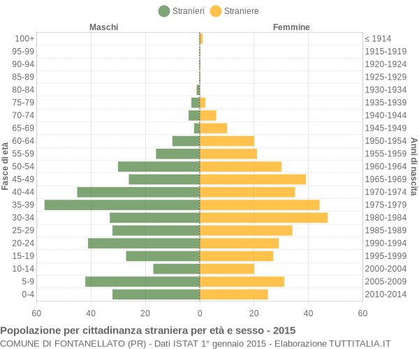 Grafico cittadini stranieri - Fontanellato 2015