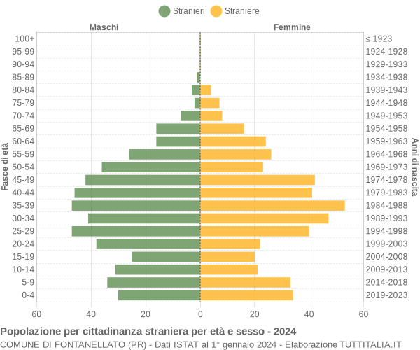 Grafico cittadini stranieri - Fontanellato 2024