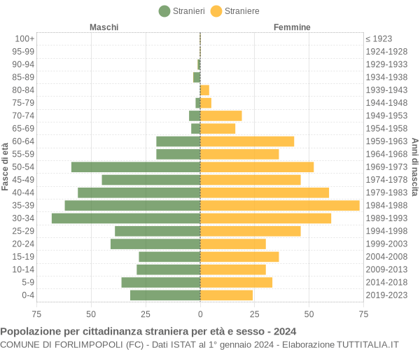 Grafico cittadini stranieri - Forlimpopoli 2024