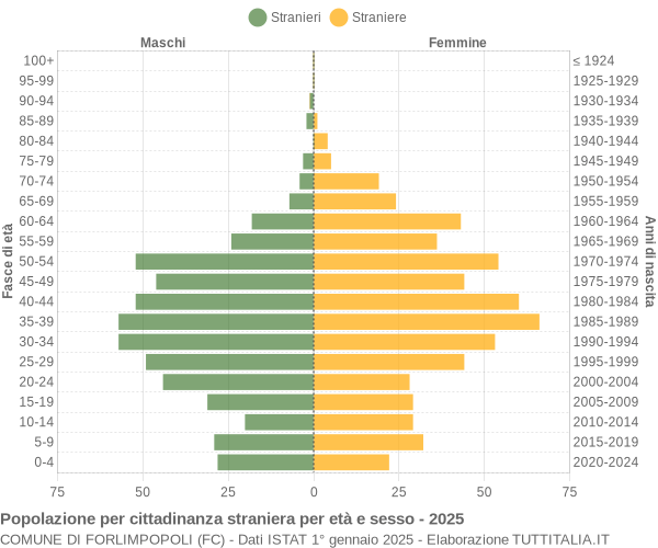 Grafico cittadini stranieri - Forlimpopoli 2025
