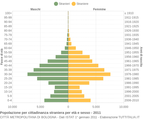 Grafico cittadini stranieri - 2011