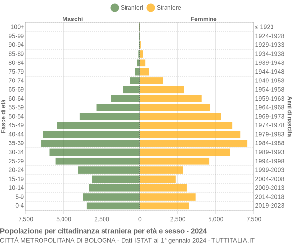 Grafico cittadini stranieri - 2024