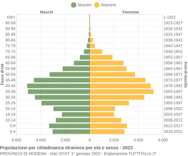 Grafico cittadini stranieri - 2023