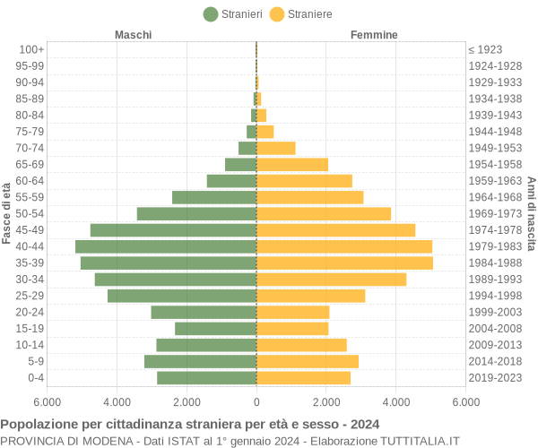 Grafico cittadini stranieri - 2024