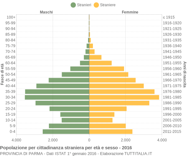 Grafico cittadini stranieri - 2016