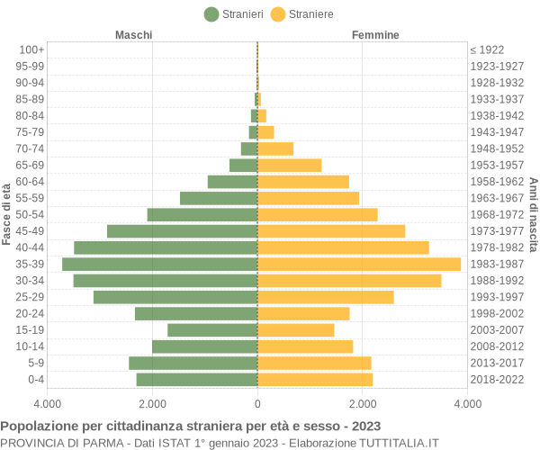 Grafico cittadini stranieri - 2023