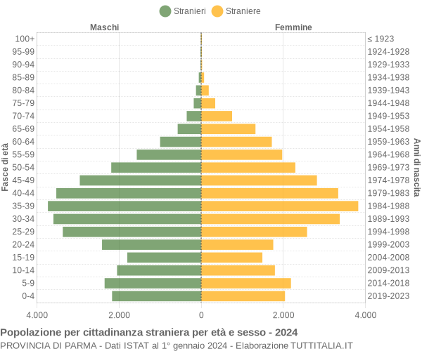 Grafico cittadini stranieri - 2024