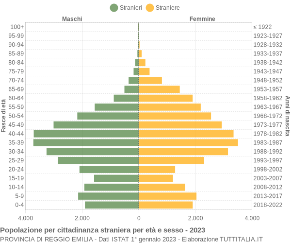 Grafico cittadini stranieri - 2023