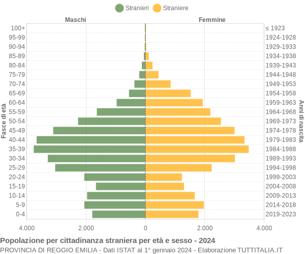 Grafico cittadini stranieri - 2024