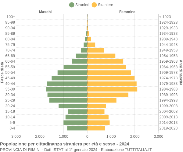 Grafico cittadini stranieri - 2024